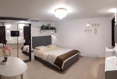 Studio | Stirbei Voda | Centrala Proprie | Pet Friendly | Metrou Eroilor - 1