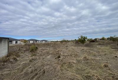 Domnesti, Drumul Targului, teren 1876 mp, 66ml x 28 ml, utilitati la strada - 1