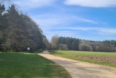 TEREN AGRICOL EXTRAVILAN - RECI - COVASNA - 6