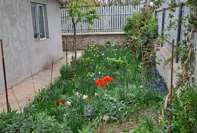 Casa de vanzare !! Zona liniștită - 1