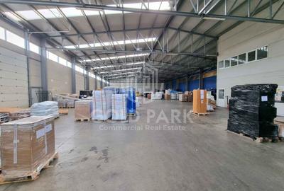 Hala/Depozit-Zona Autostrazii-Curte Betonata/Rampa-350-660-900 mp - 6