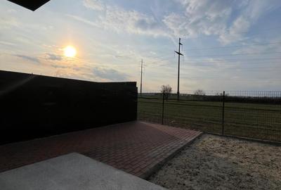 Acasă, unde liniștea prinde contur: Sanctuarul tău privat în Irish Park - 13