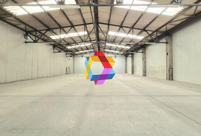 Spațiu industrial, 750 mp în Tractorul