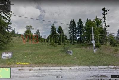 Sinaia | Teren intravilan 5.000 mp | DN71 | Cota 1000 - 1
