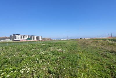 Teren Construcții intravilan de 4530 mp, în Triaj