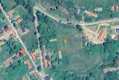 Teren intravilan 3.939 mp Brebu Nou–Trei Ape, la poalele Munților Semenic - 2