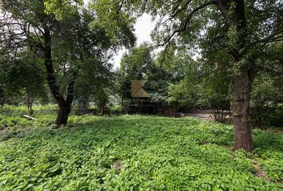 Casă renovată, teren 394 mp – Râșnov, str. Misu Popp, zonă centrală - 20