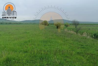 Teren intravilan Dobolii de Jos 47.700 mp | PUZ+autorizație | POT 50% - 6