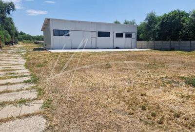 Teren langa padure,aproape de Bucuresti 10 275 mp de liniste. - 4