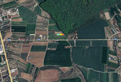 LOTURI DE 500mp | LANGA PADUREA SNAGOV | IZVORANI - LOCATIE DE VIS | COMISION 0% - 5