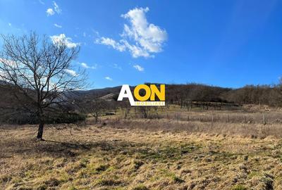 Teren de vanzare, toate utilitatile, 946mp - 1