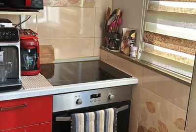 Chirie apartament 2 camere Vradet mobilat si utilat 300eur/luna - 1