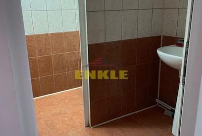 De vânzare: Hală industrială cu anexă birouri/apartament - 10