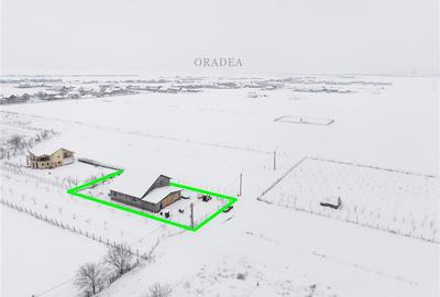 RECO Casa individuala 7 camere, Livada de Bihor, 1000 mp teren - 14