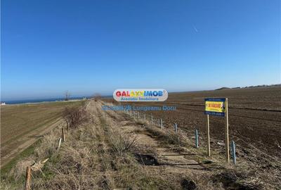 Teren intravilan 47.400 mp, Vama Veche, 200 m de Marea Neagra - 7
