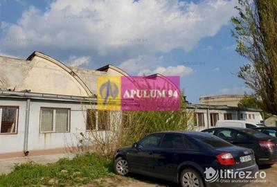 Hală 3600mp zona de Sud a capitalei - 4