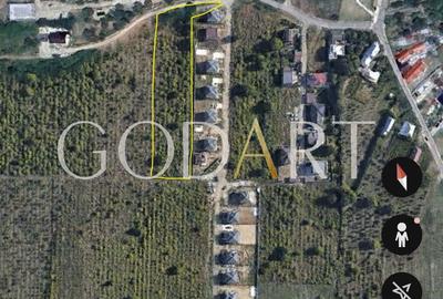 Teren Construcții intravilan de 5291 mp, în Viforâta