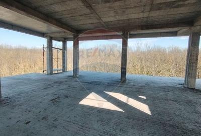 Apartament 4 camere CRANGUL PETRESTI. - 8