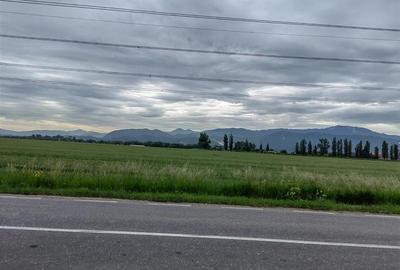 TEREN DE INCHIRIAT IN SUPRAFATA DE 2 HA IN ONESTI - 1