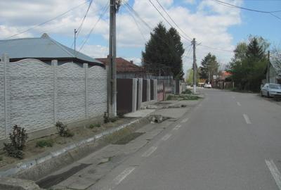 Cornetu - Lalelelor, Stradal - 3