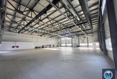Spațiu industrial, 1185 mp în Exterior Vest