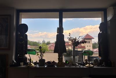 Kiseleff, proprietar vand penthouse cu vedere panoramica - 3