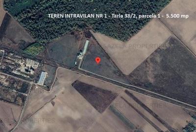 De vanzare 5 loturi langa padure 33.000 mp - Racari - Licitatie - 1