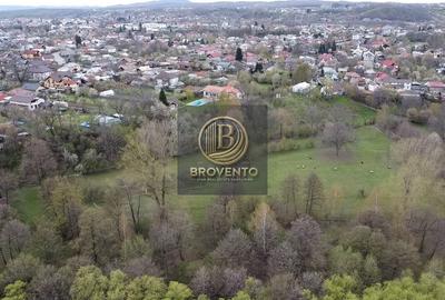 Oportunitate de investitie in Valenii de Munte - 10