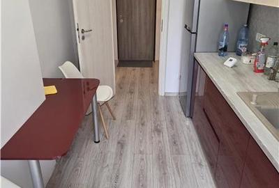Apartament 2 camere spre inchiriere cu terasa Chitila Bucurestii Noi - 7