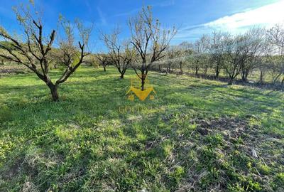 Tren Soporului Intravilan ,5500 MP Utilitati,  Oportunitate - 3