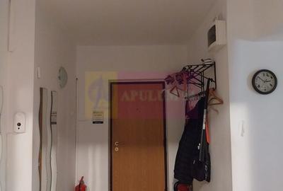 Apartament 4 camere Piata Muncii - 7