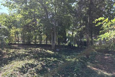 Vanzare teren cu deschidere la lac, zona Ciofliceni - Sangov. - 4