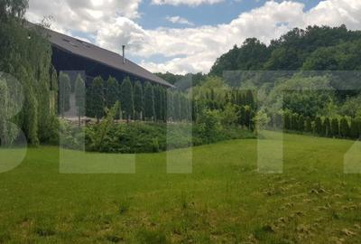 Investitie ! Casa de vacanta 350 mp utili ,teren 3000 mp in Faget ! - 8