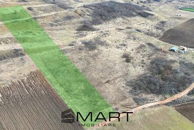 Teren extravilan 4500mp cu autorizatie adapost agrigol in Gusterita - 2