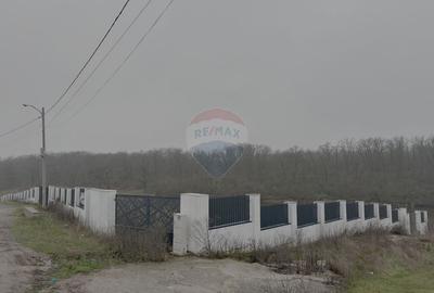 Teren intravilan de vanzare cu deschidere la lac, Branesti - 4