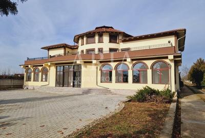 VANZARE VILA | HALA IN VLADICEASCA | SNAGOV | 10.500 MP TEREN - 1