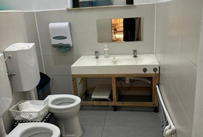 Vilă individuală 17 camere, 850 mp teren | Grădiniță / clinică | Iancu Nicolae - 15