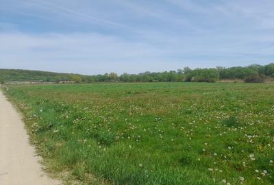 Teren de vanzare intravilan 5000 m2 Cisnadie zona SOMA - 3