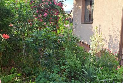 Bragadiru-Safirului Vila Individuala P+1+Pod An 2015 - 10