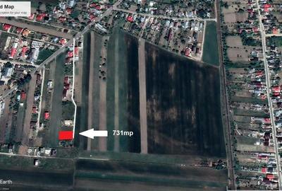 Teren intravilan in Golesti in suprafata de 731mp - 9