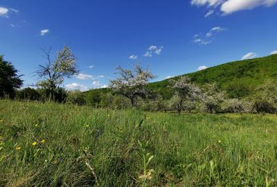 Teren de Vânzare, Budeasa Mica – Potrivit pentru Casă de Vacanță sau Investiție - 11