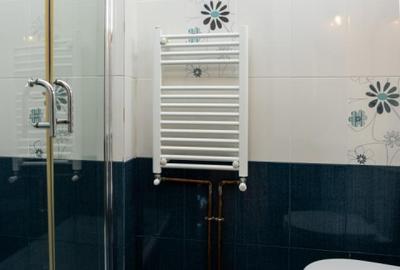 4 camere| Emanoil Porumbaru | garaj | boxa - 8