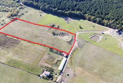 De vânzare teren extravilan – 1,8 ha sigmir - 2