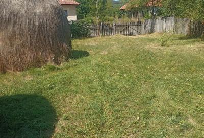 Teren Intravilan, situat in Sat Tismana (zona Gornovita) - 1