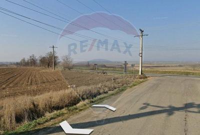 Teren de vanzare la DN2F Bacau-Vaslui la intrare in Traian si Bijghir - 4