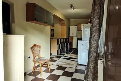 Bucurestii Noi, apartament 2 camere la curte - 13