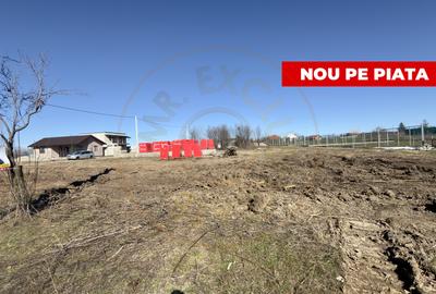 Teren Construcții intravilan de 533 mp, în Albota