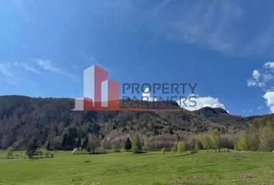 Terenuri Bran - Predelut  Priveliște către Bucegi și Postăvaru - 15