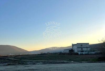 Teren 5800 mp-ideal hala, agricultura, investitie-Zona Groapa Saratii - 1