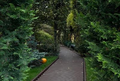 Vila grandioasa, Gradina Japoneza, SPA, Crama, Teren Tenis, Foisor, Iaz Pesti - 3